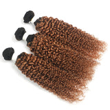 Kinky Curly Ombre Blonde Brown Bundles